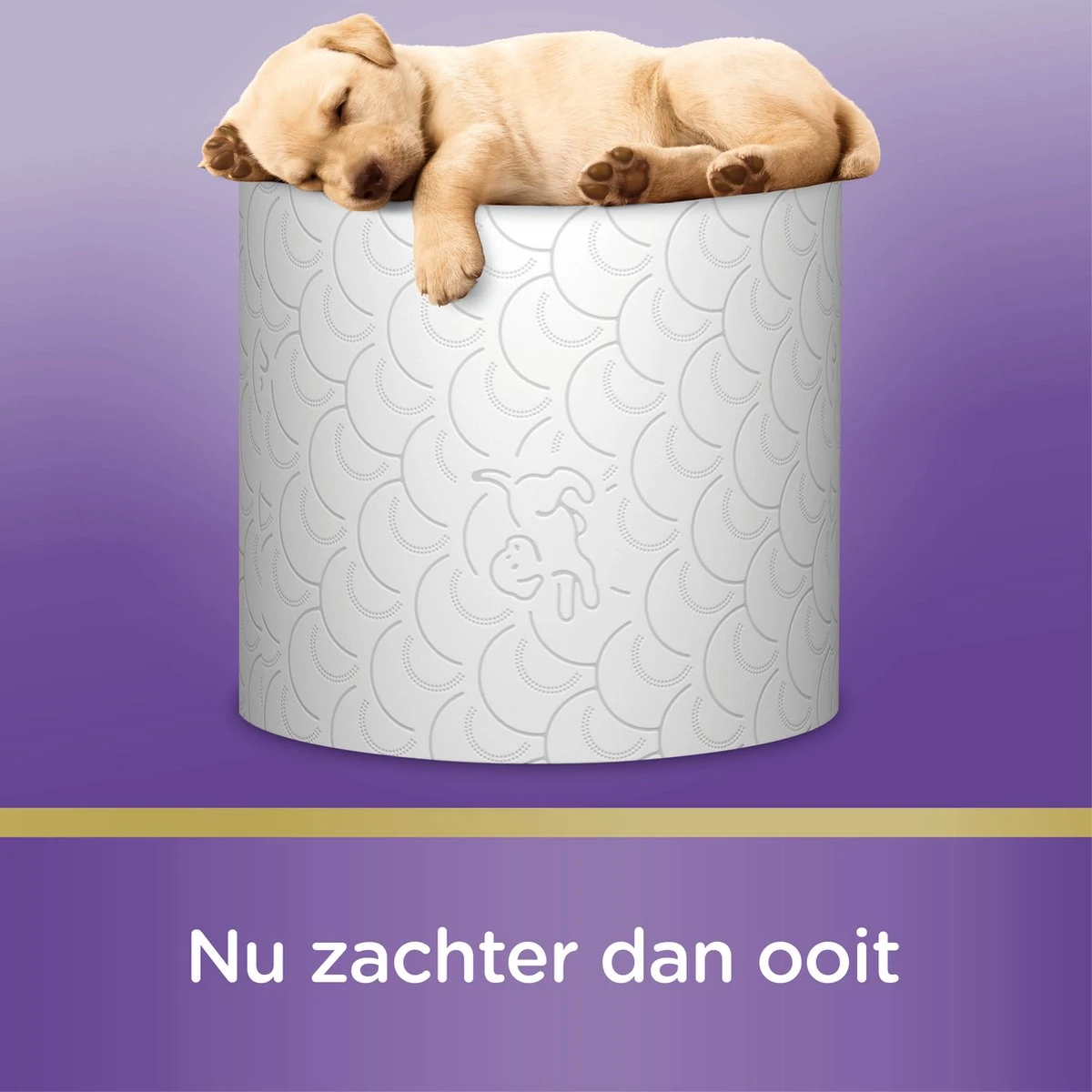 Page Toiletpapier - 36 Rollen - Kussenzacht Wc Papier (3-laags) - Voordeelverpakking - Afbeelding 5